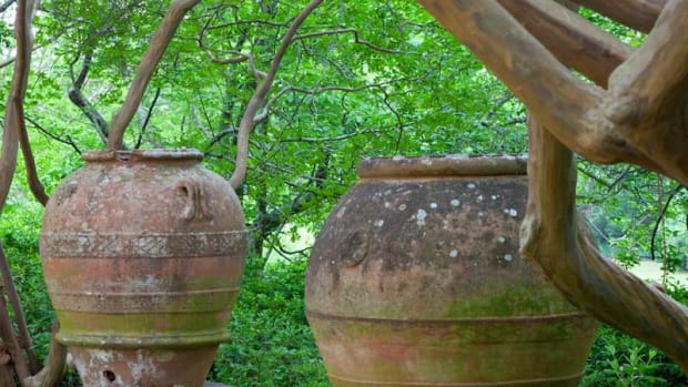 two giant wine and olive jars, Grecian garden