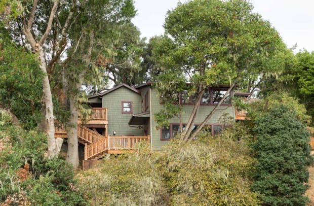 Nestled amongst coast live oak and Californian bay laurels, the cabin is perched on a steep hillside above Tomales Bay.