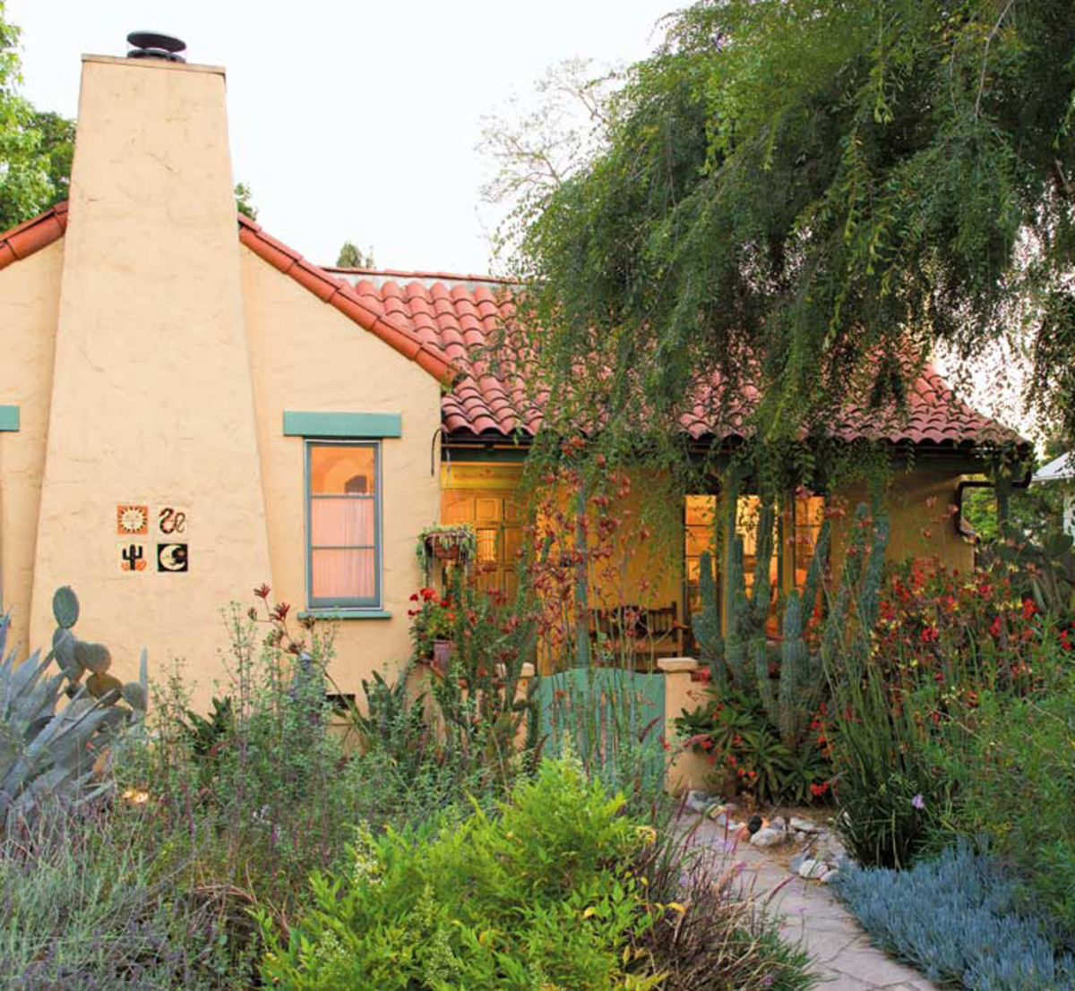 drought-tolerant plantings, Chinese elm