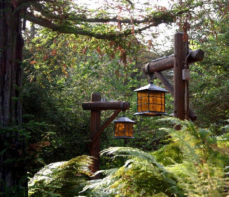 bold-landscape-lighting-from-steve-handelman.jpg