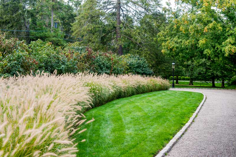 b_seibert_garden.jpg