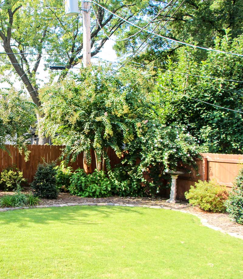 6-backyardv.jpg
