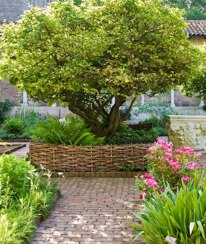 3_wattle_grossdaley_cloisters.jpg