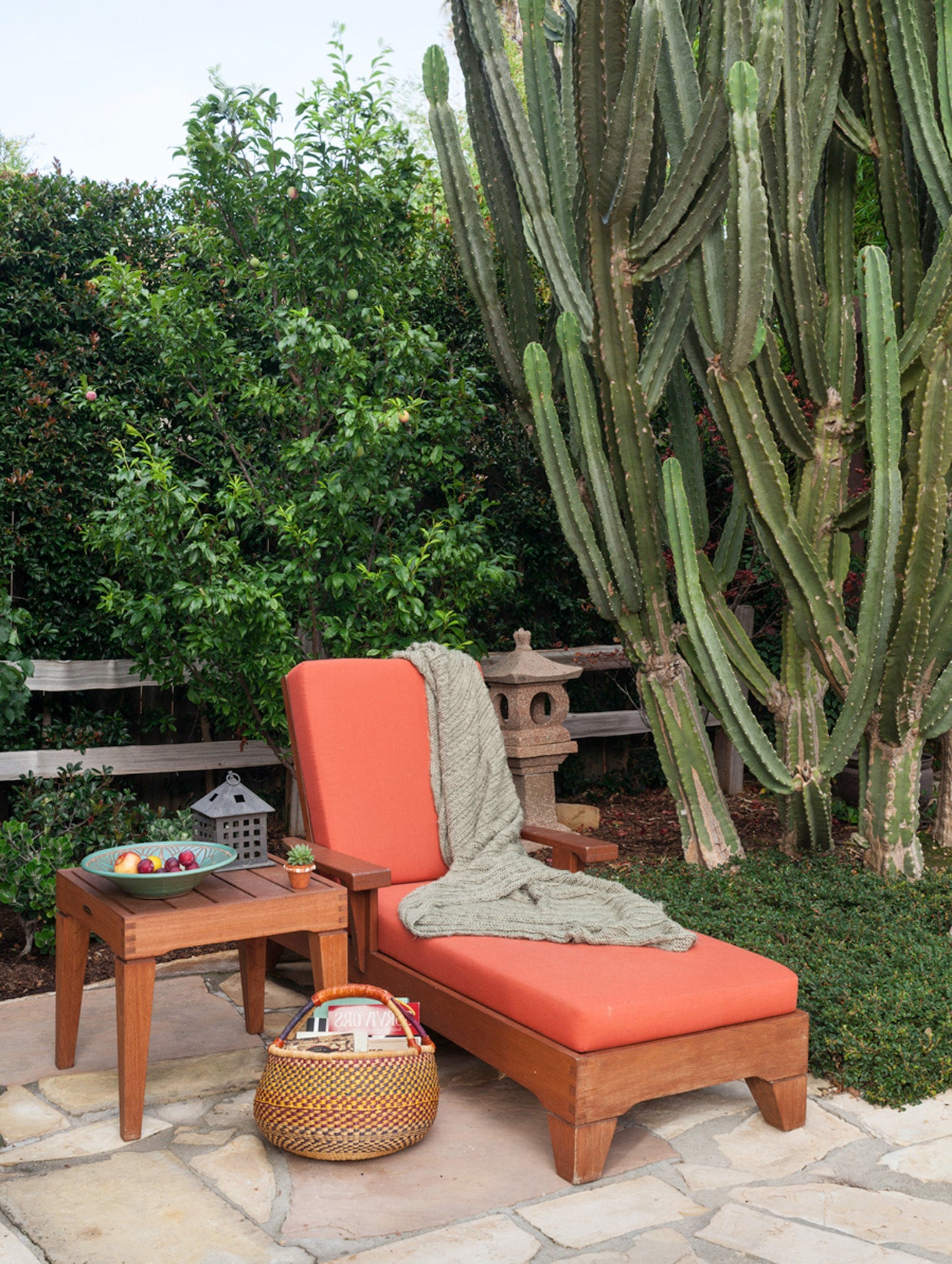 cactus_ach-brm_212.jpg