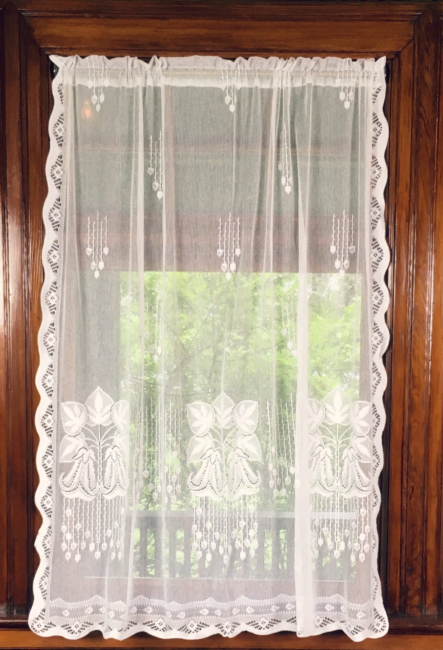 coopers-cottage-lace-meadow-lily.jpg