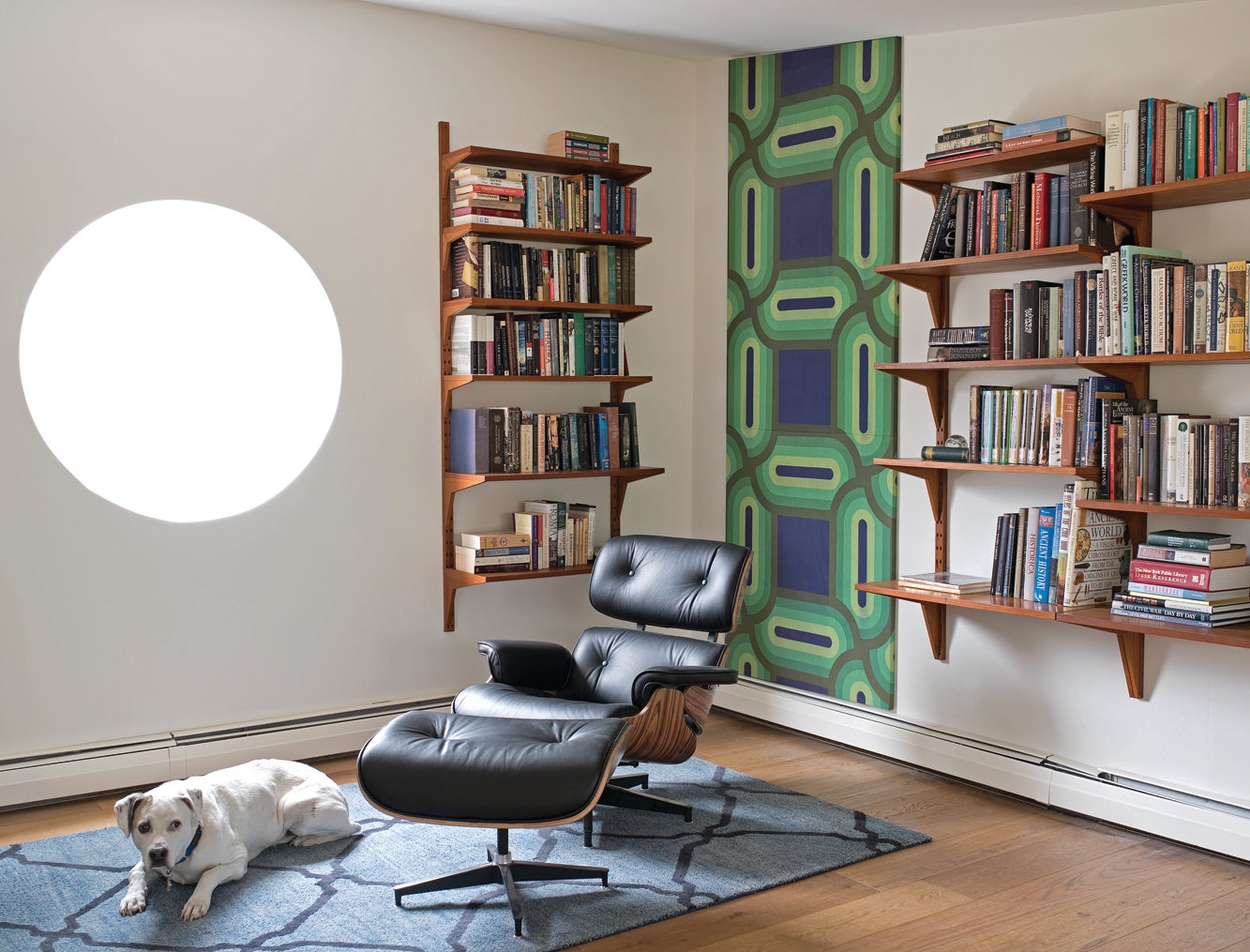 5_bubble_window__sopo_mid_mod_reno.jpg