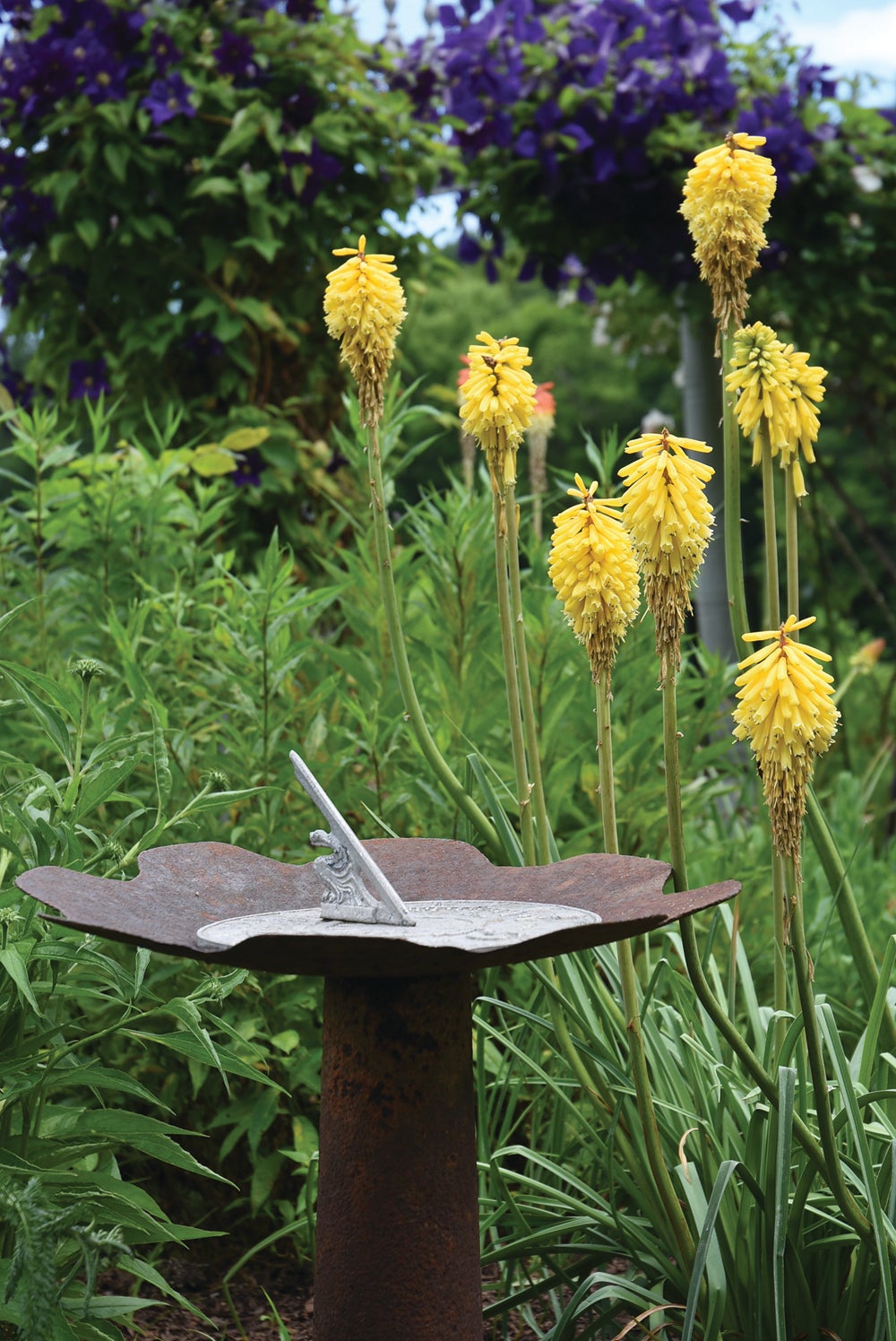 7_kniphofia_sundial_farmhouse_garden_tovahmartin.jpg
