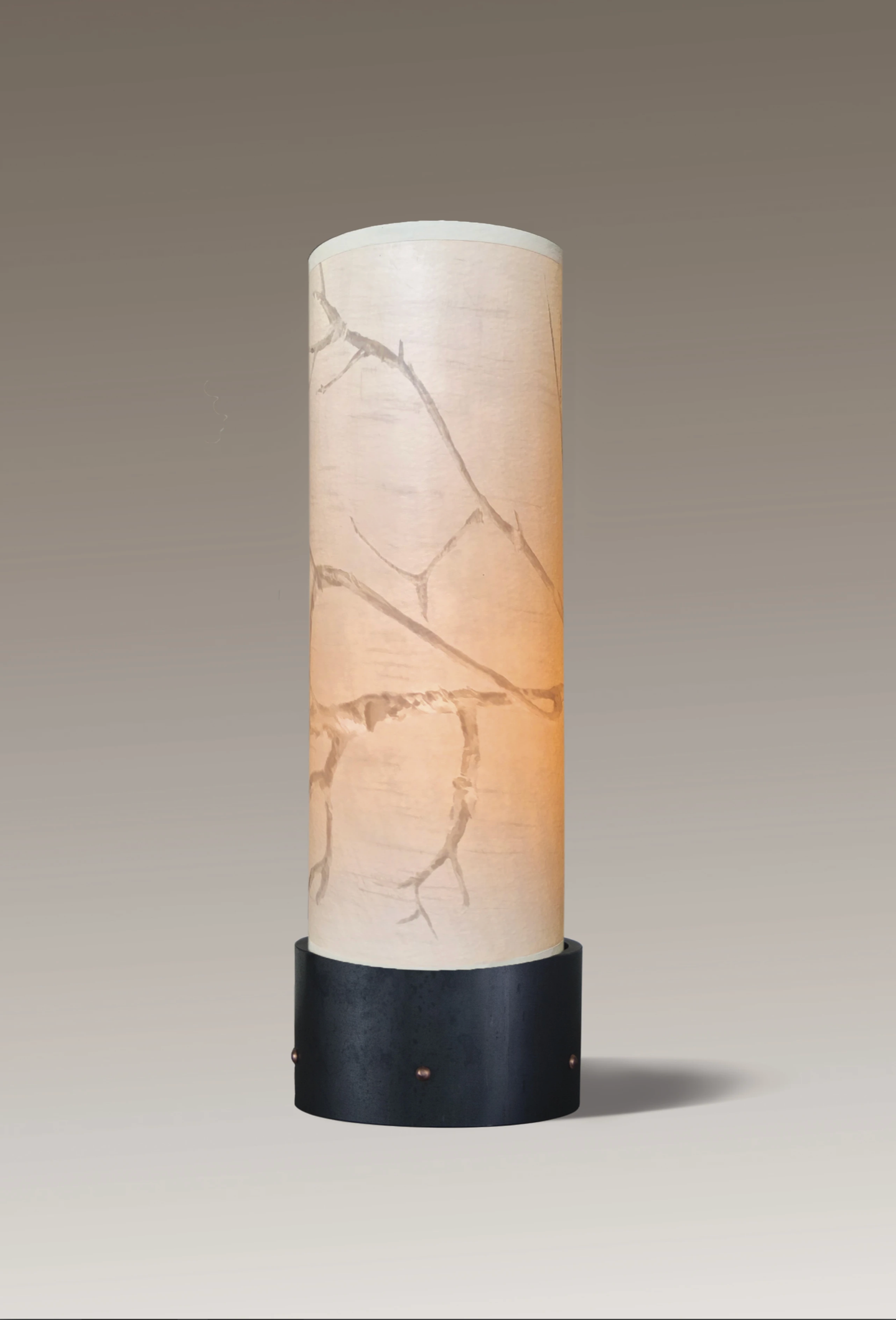 luminaire-accent-lamp-with-sweeping-branch-shade---janna-ugone--co.png