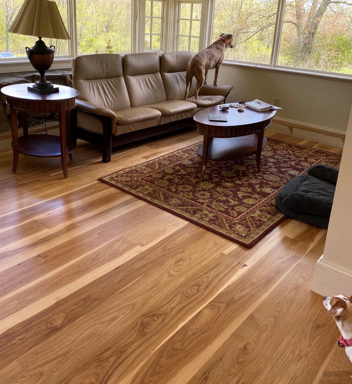 hickory-select-sherborn-ma-hfp-large.jpg